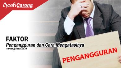 Faktor Pengangguran dan Cara Mengatasinya